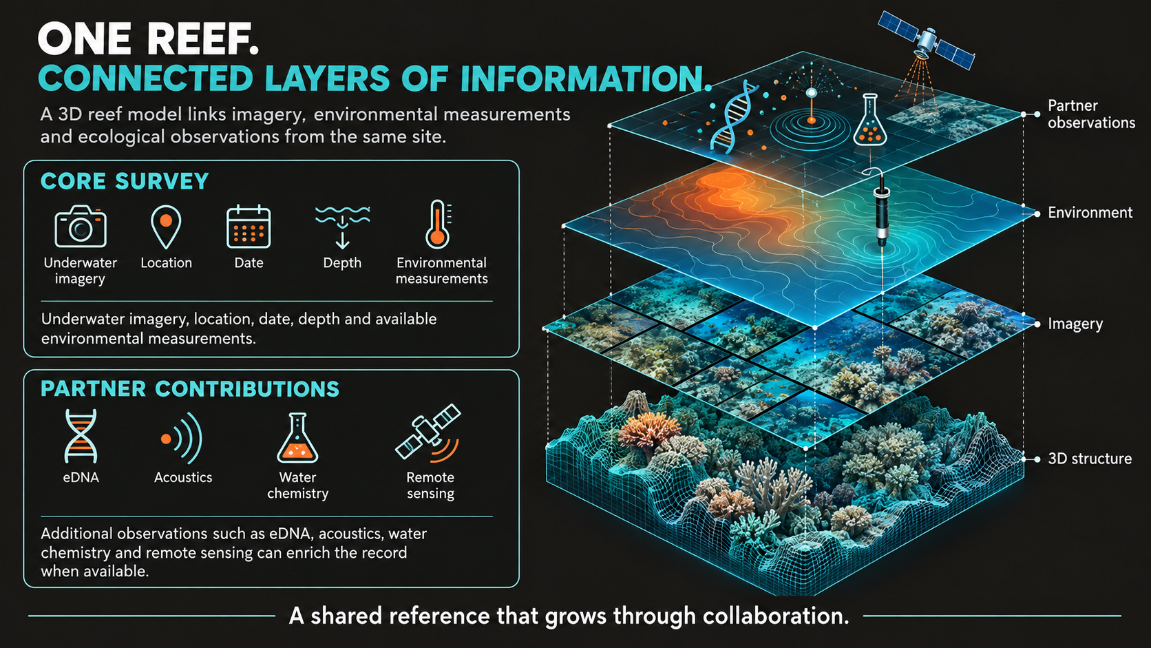 Connected layers of reef information infographic