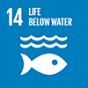 UN Sustainable Development Goal 14: Life Below Water